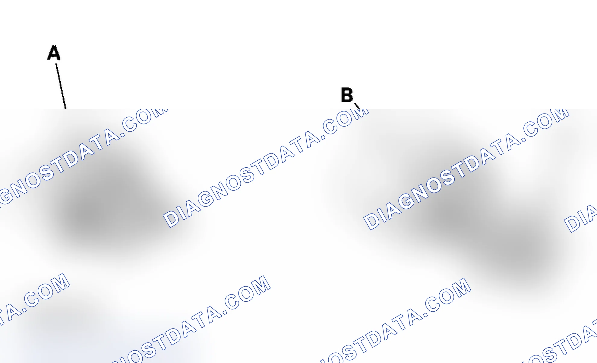 Scheme 6