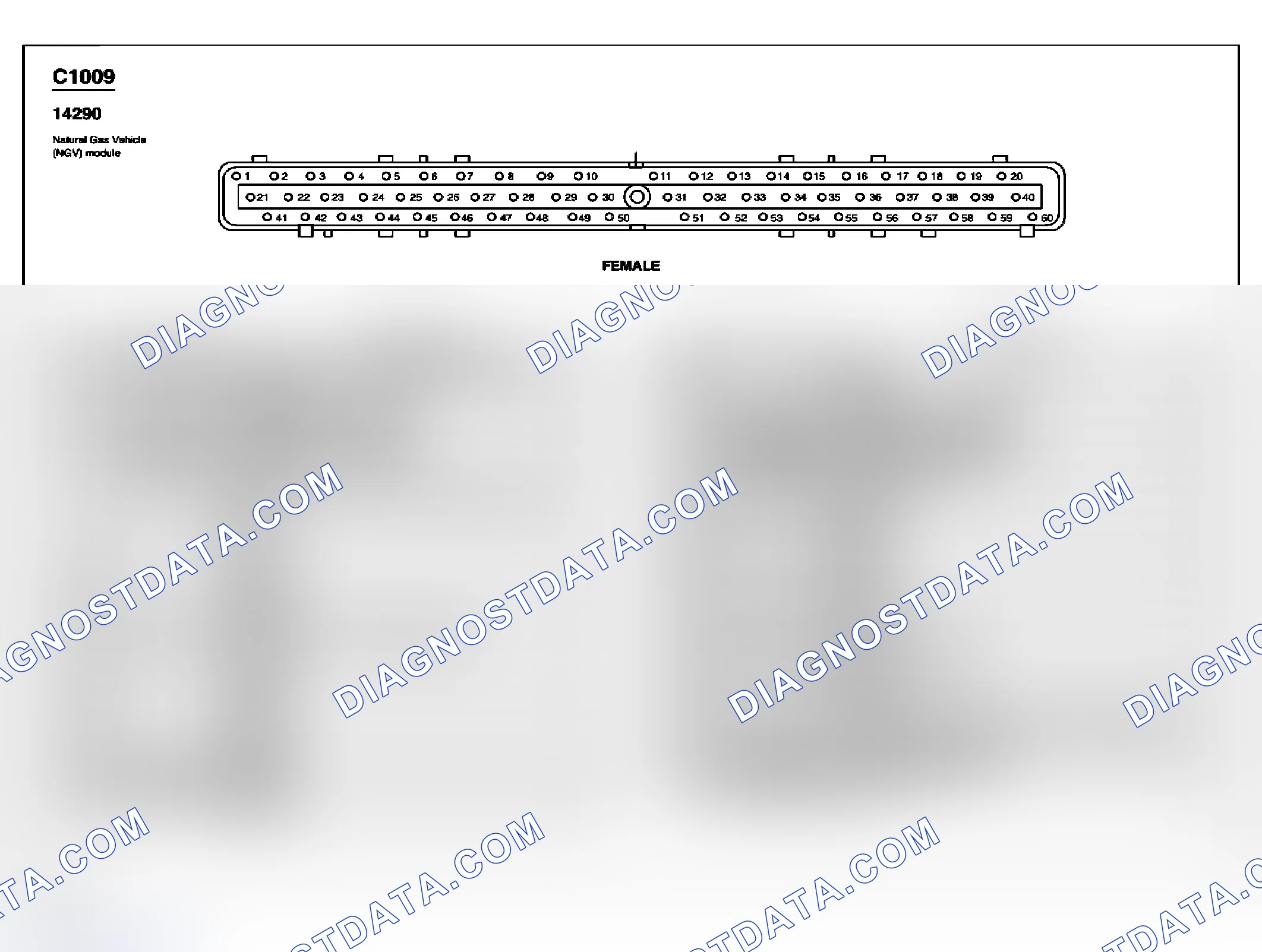 Scheme 231: Identifying Connector C1009