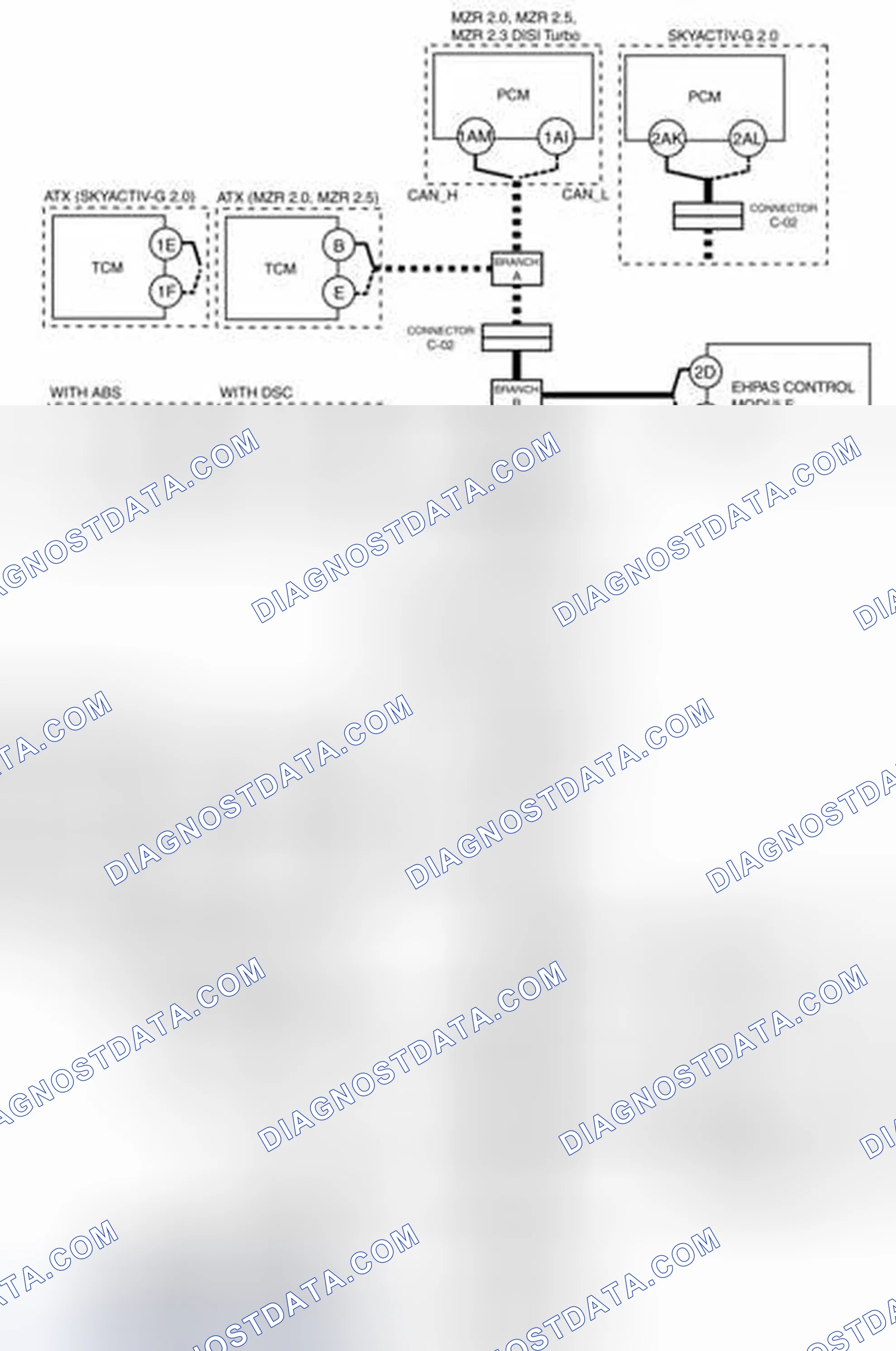Scheme 21: Connector C-41 And BCM (Open Circuit) System Wiring Diagram