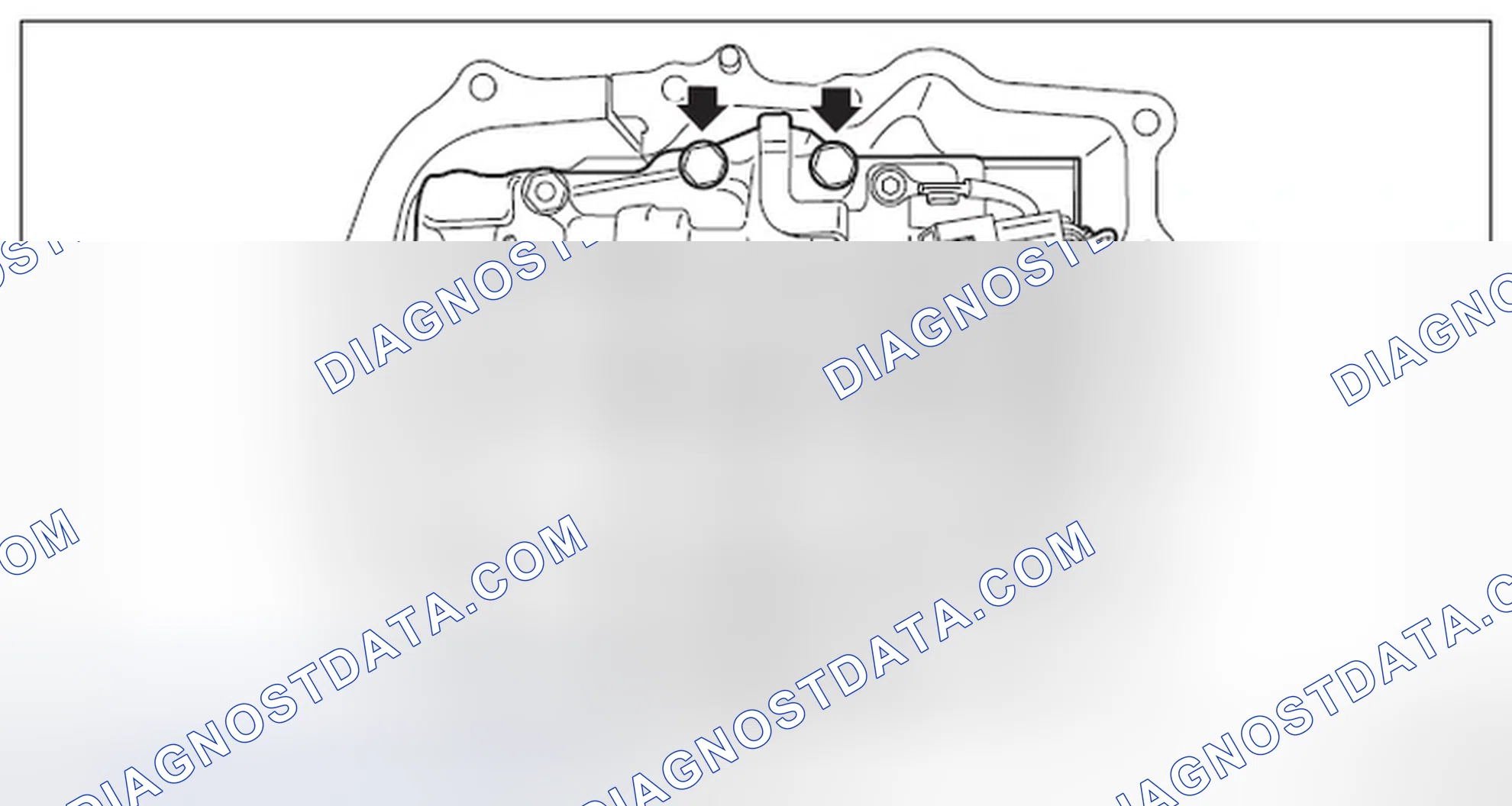 Scheme 316