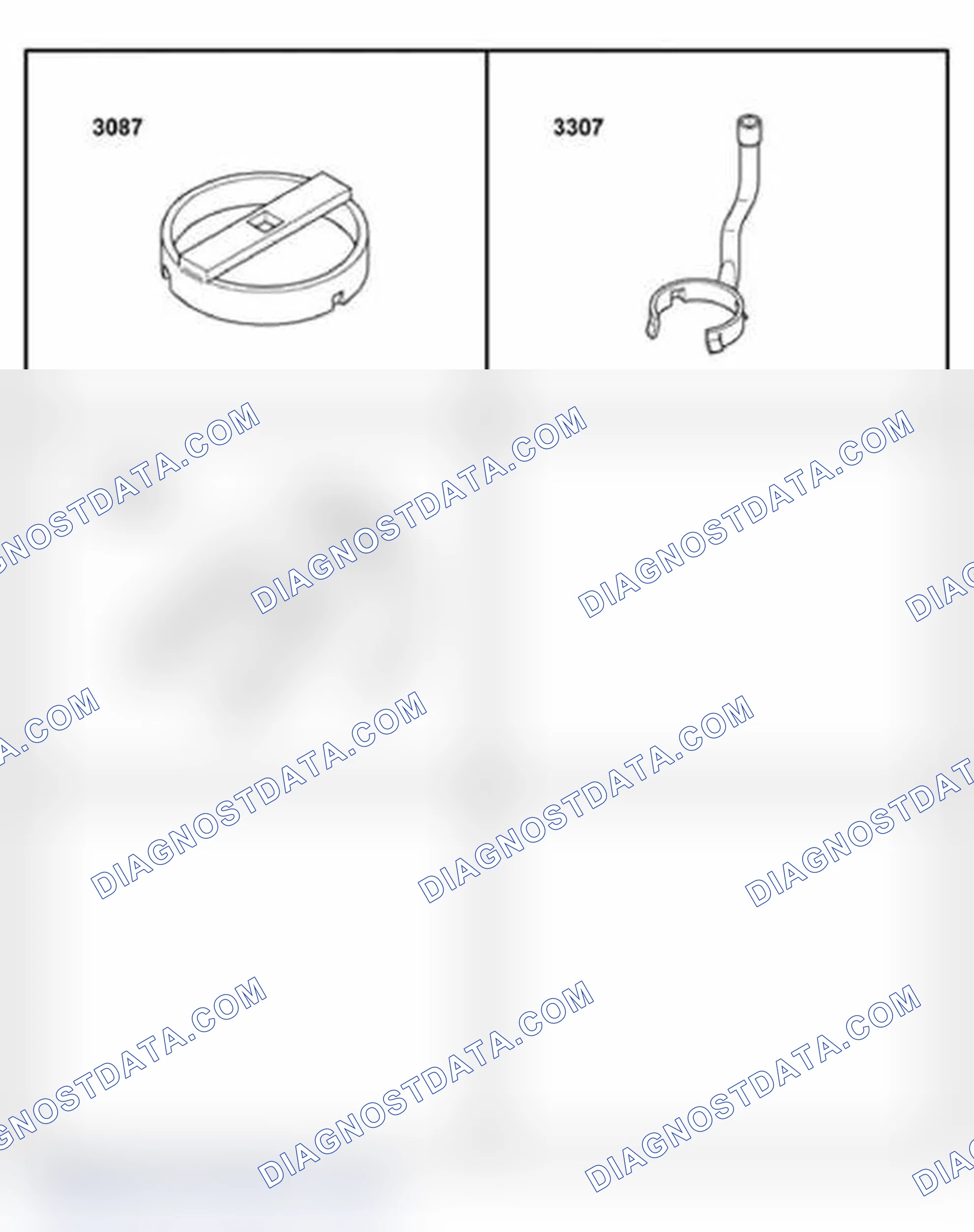 Scheme 307