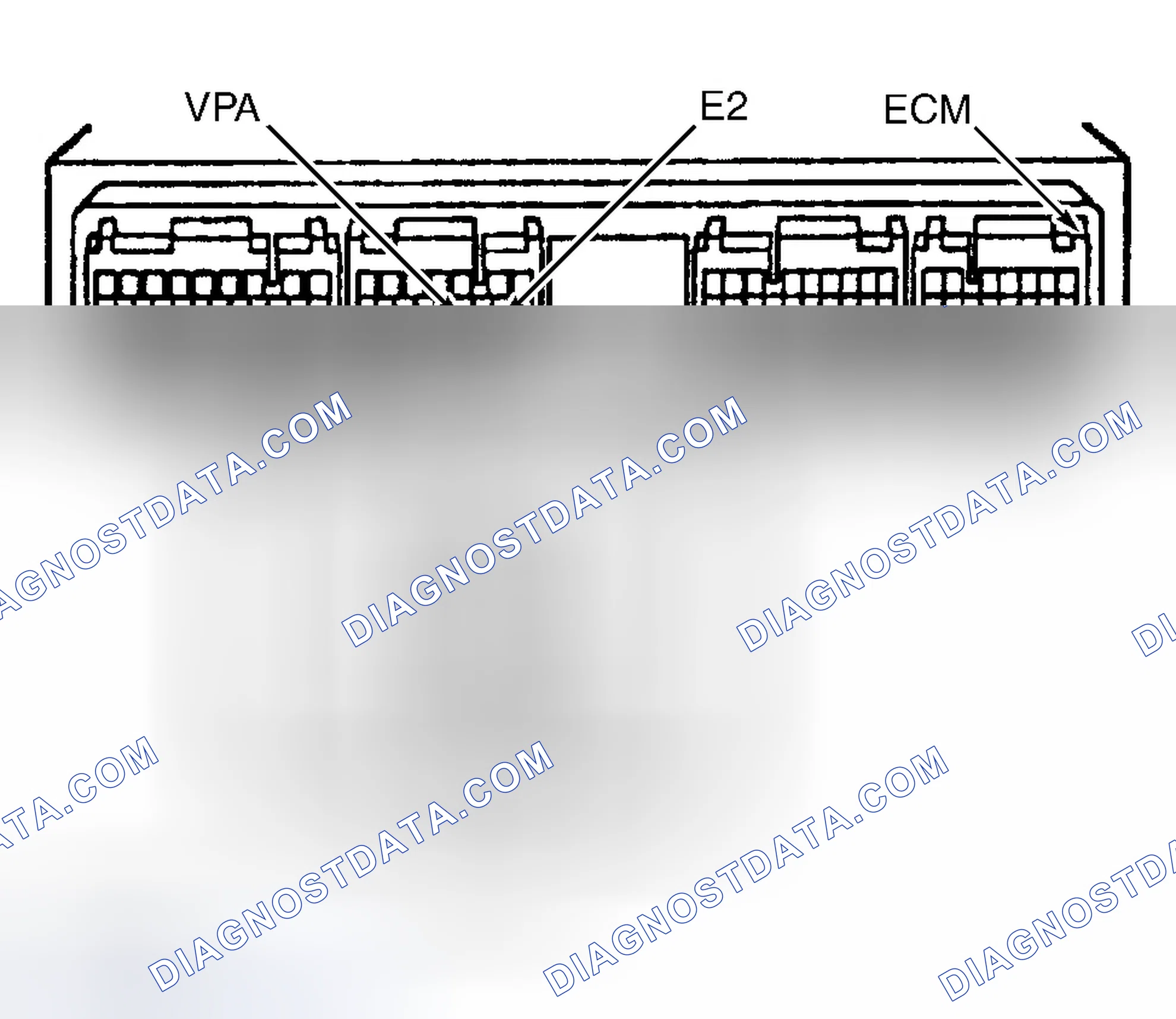 Scheme 317