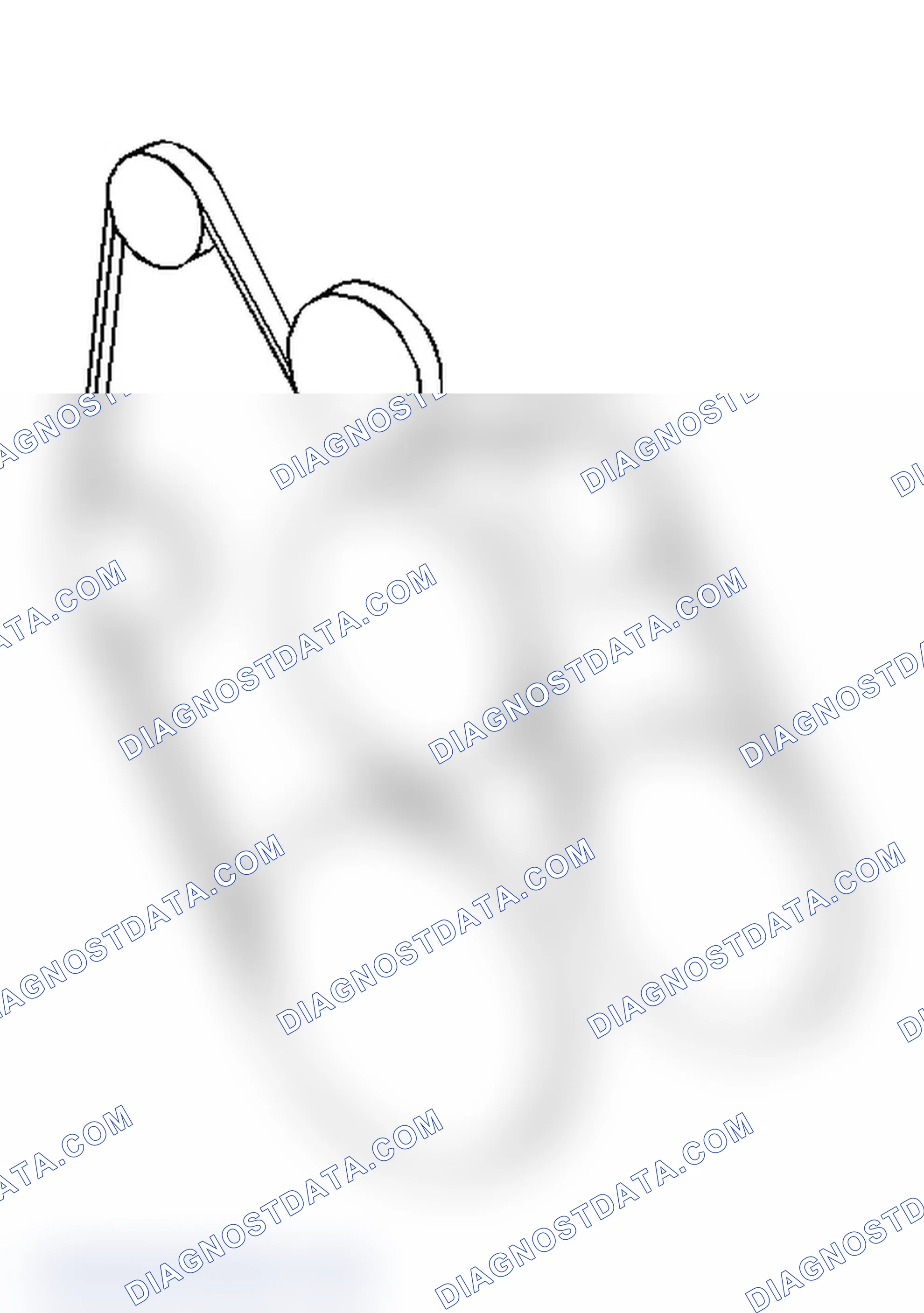 Scheme 5: DRIVE BELT ROUTING - 4.3L ("S" & "T" SERIES)