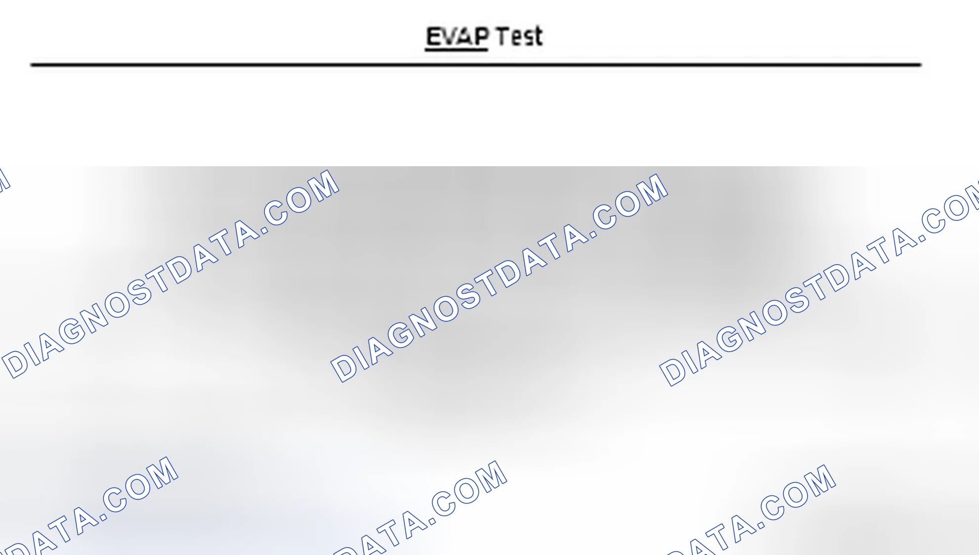 Scheme 12: EVAP system test description