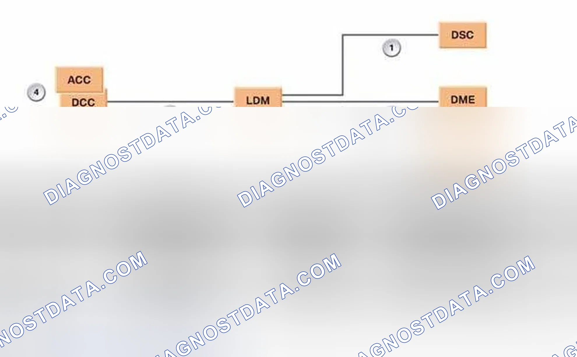 Scheme 1: LDM Overview