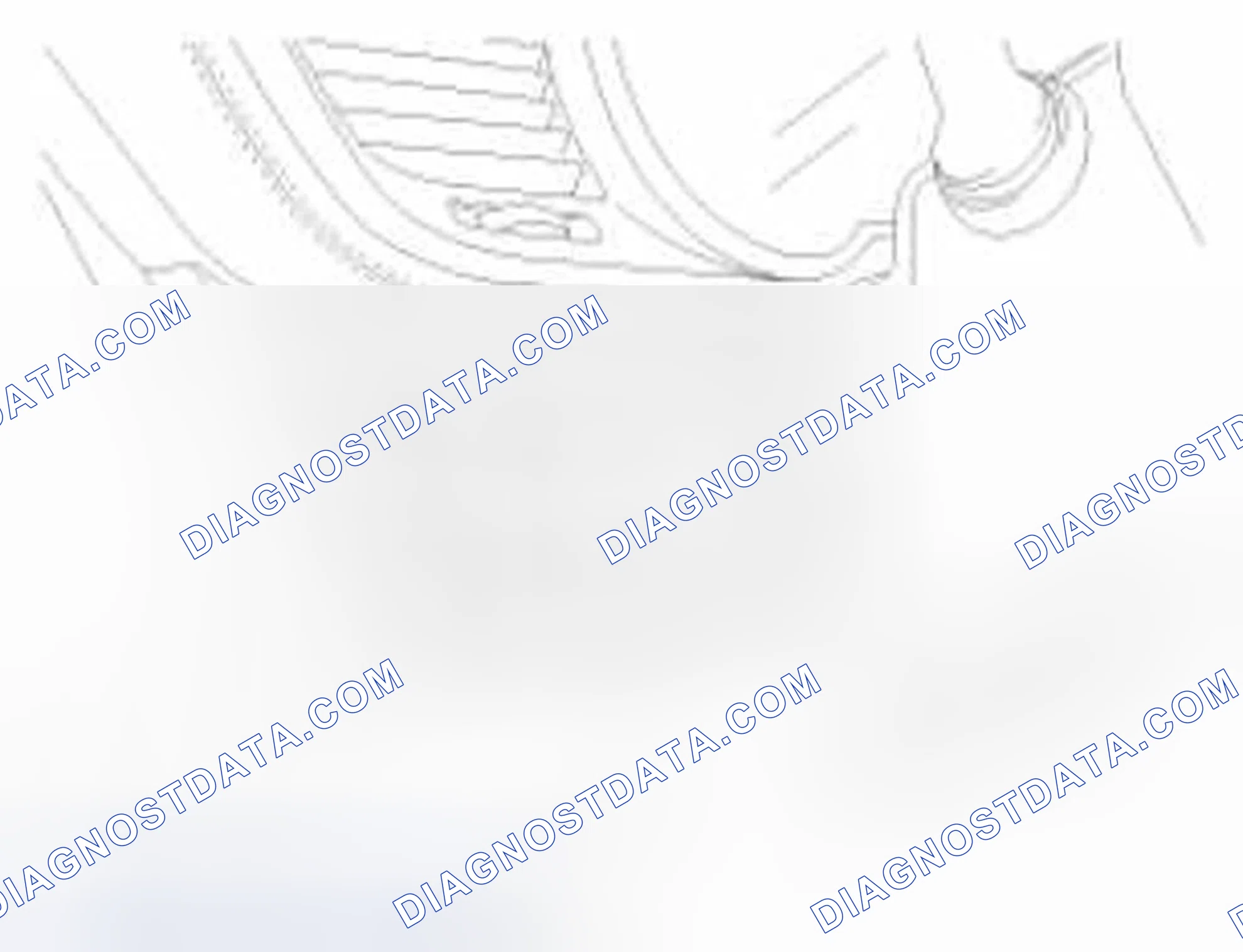 Scheme 225: Inspection
