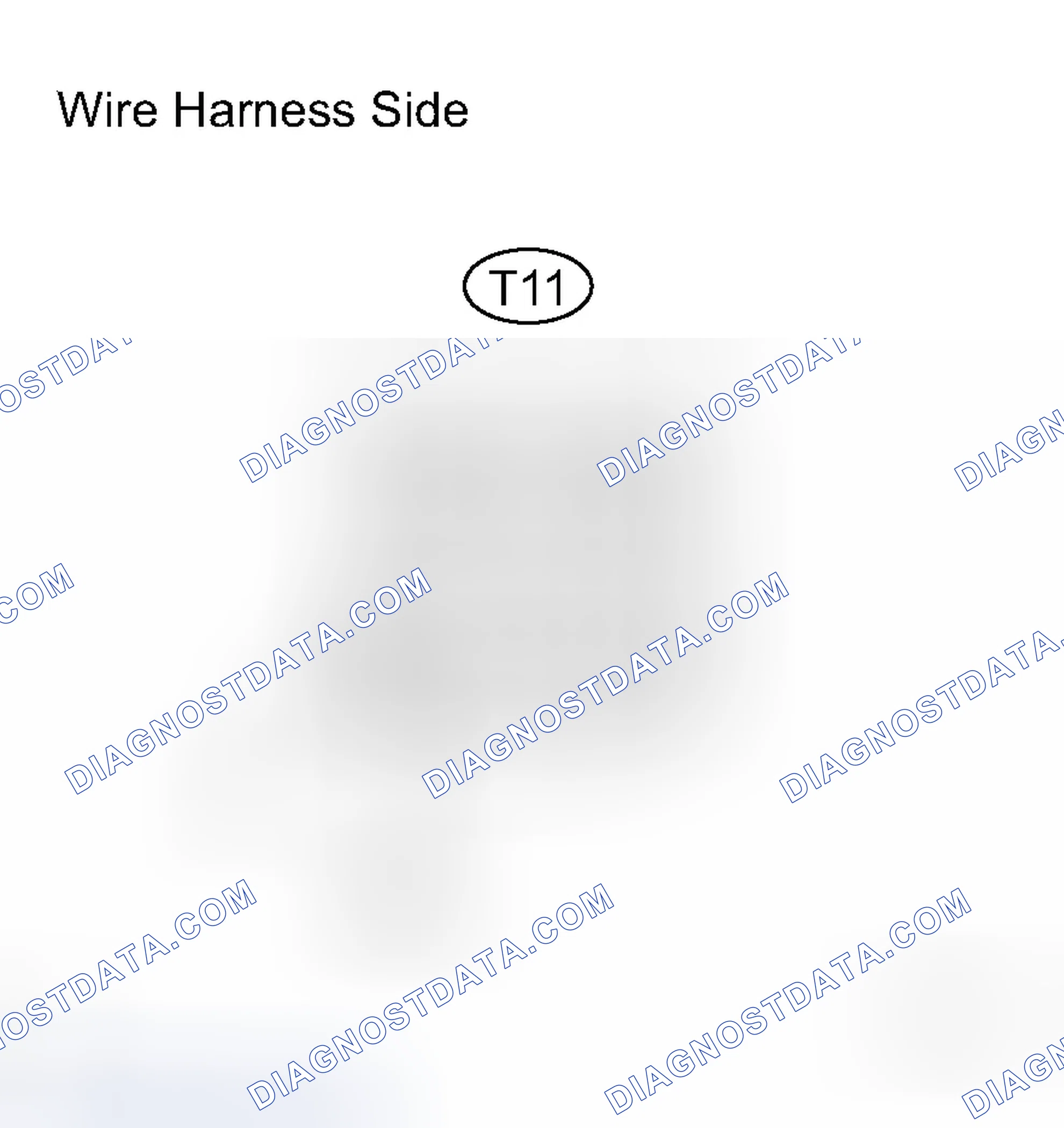 Scheme 109: INSPECTION PROCEDURE