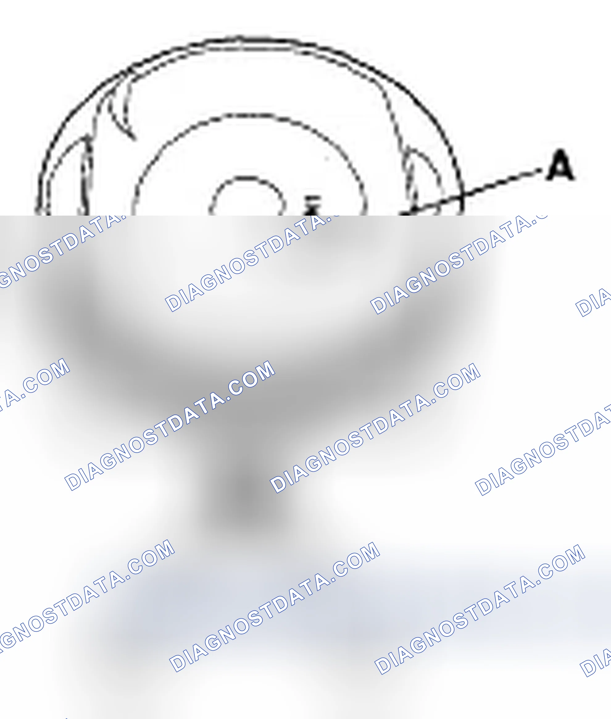 Scheme 242: If the crankshaft is not installed
