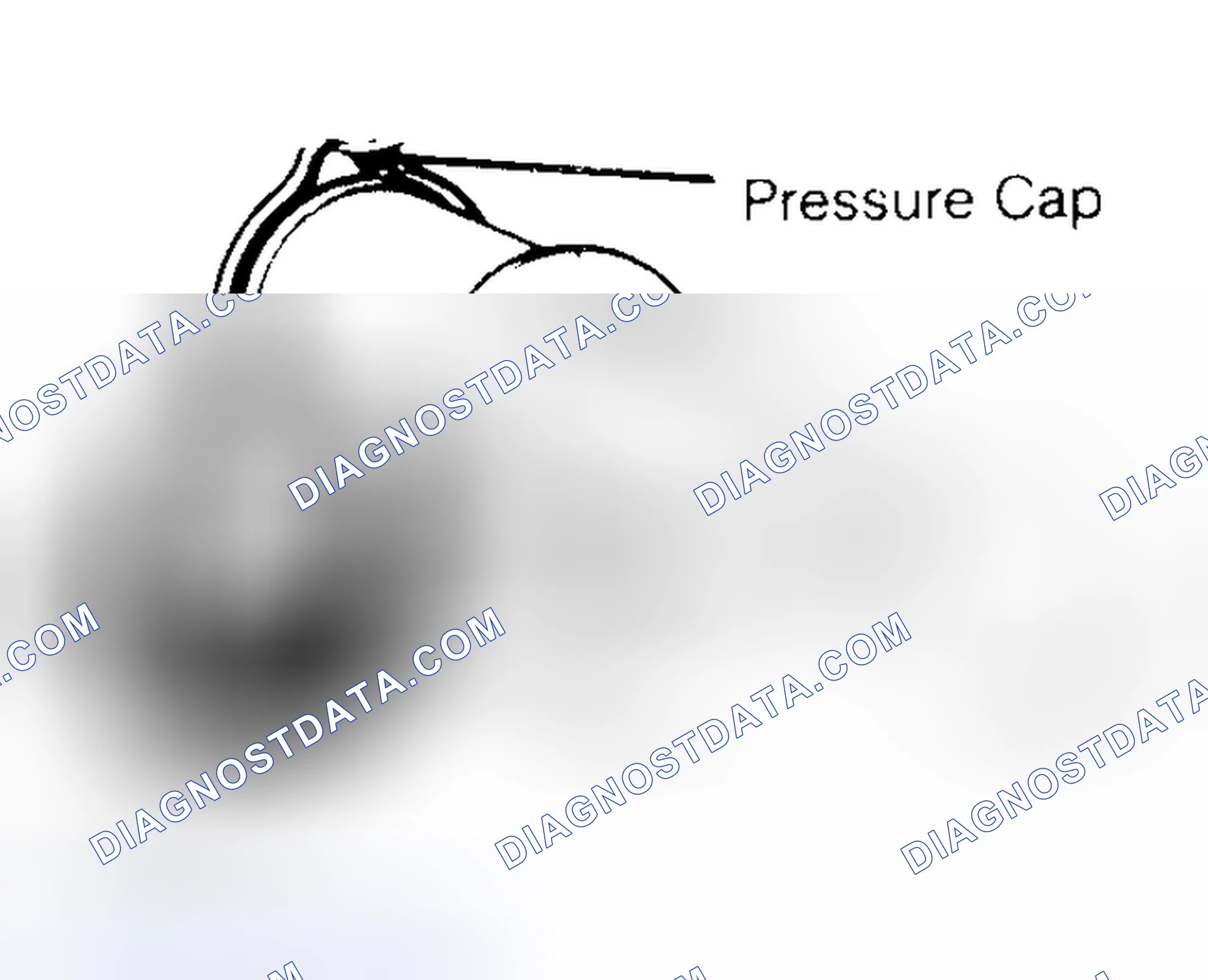 Scheme 2: Pressure Testing Radiator Cap