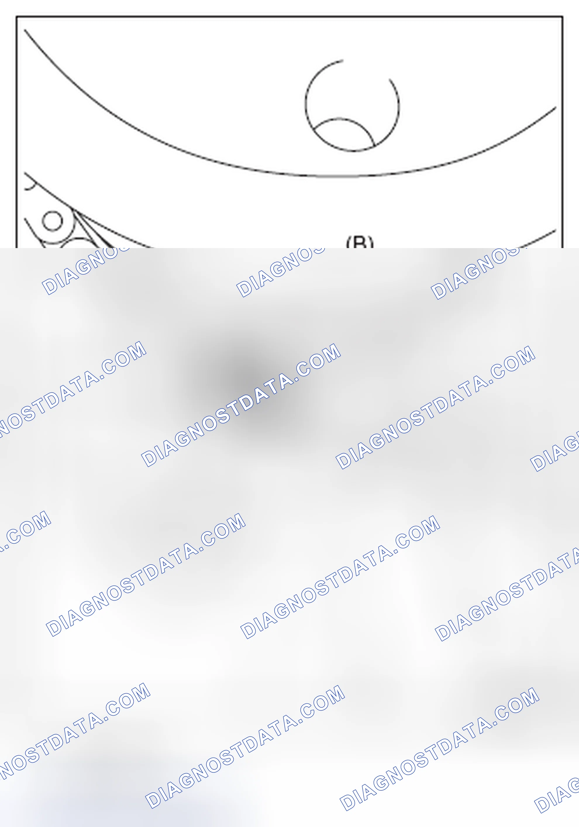 Scheme 571