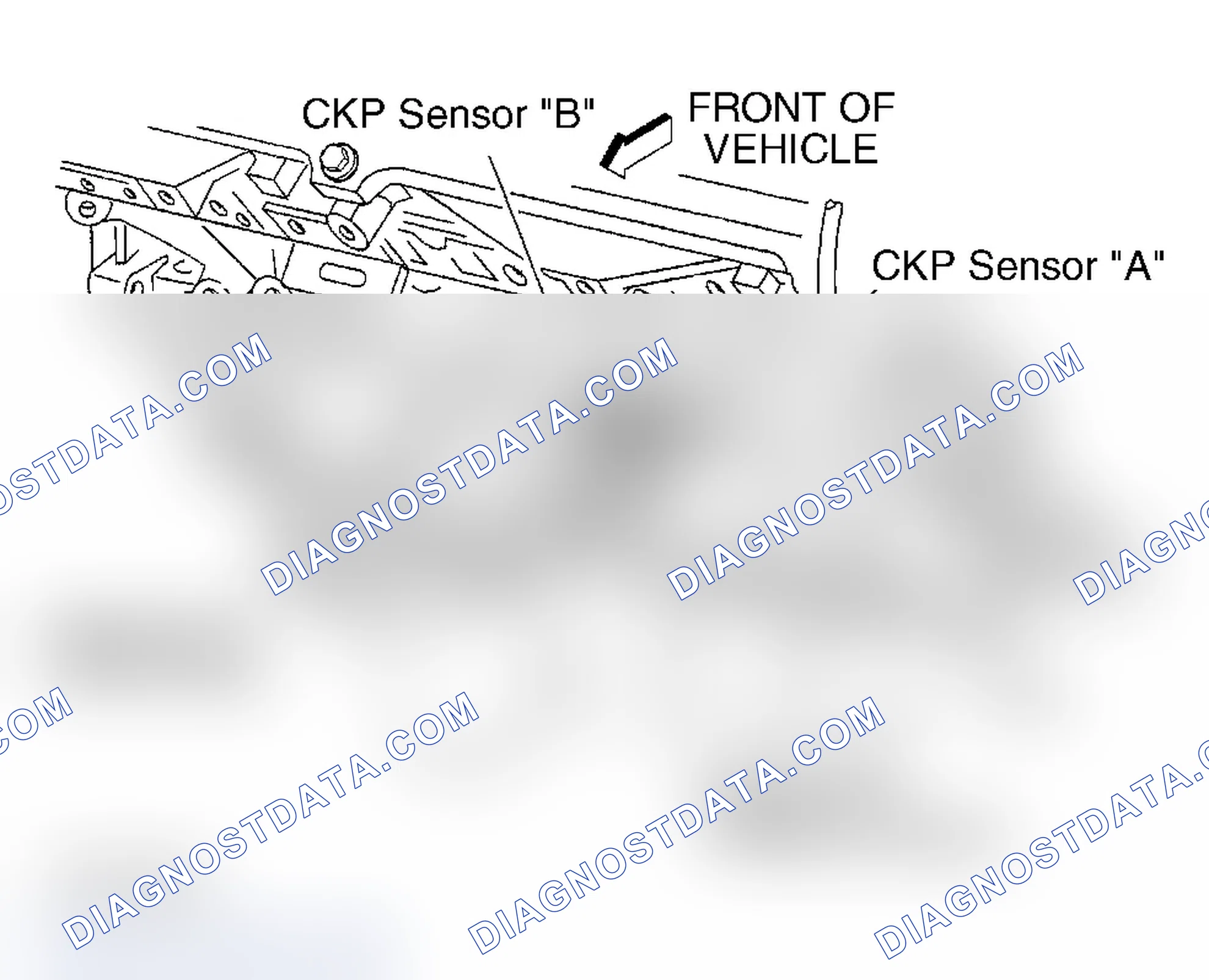 Scheme 17: Diagnostic Procedures