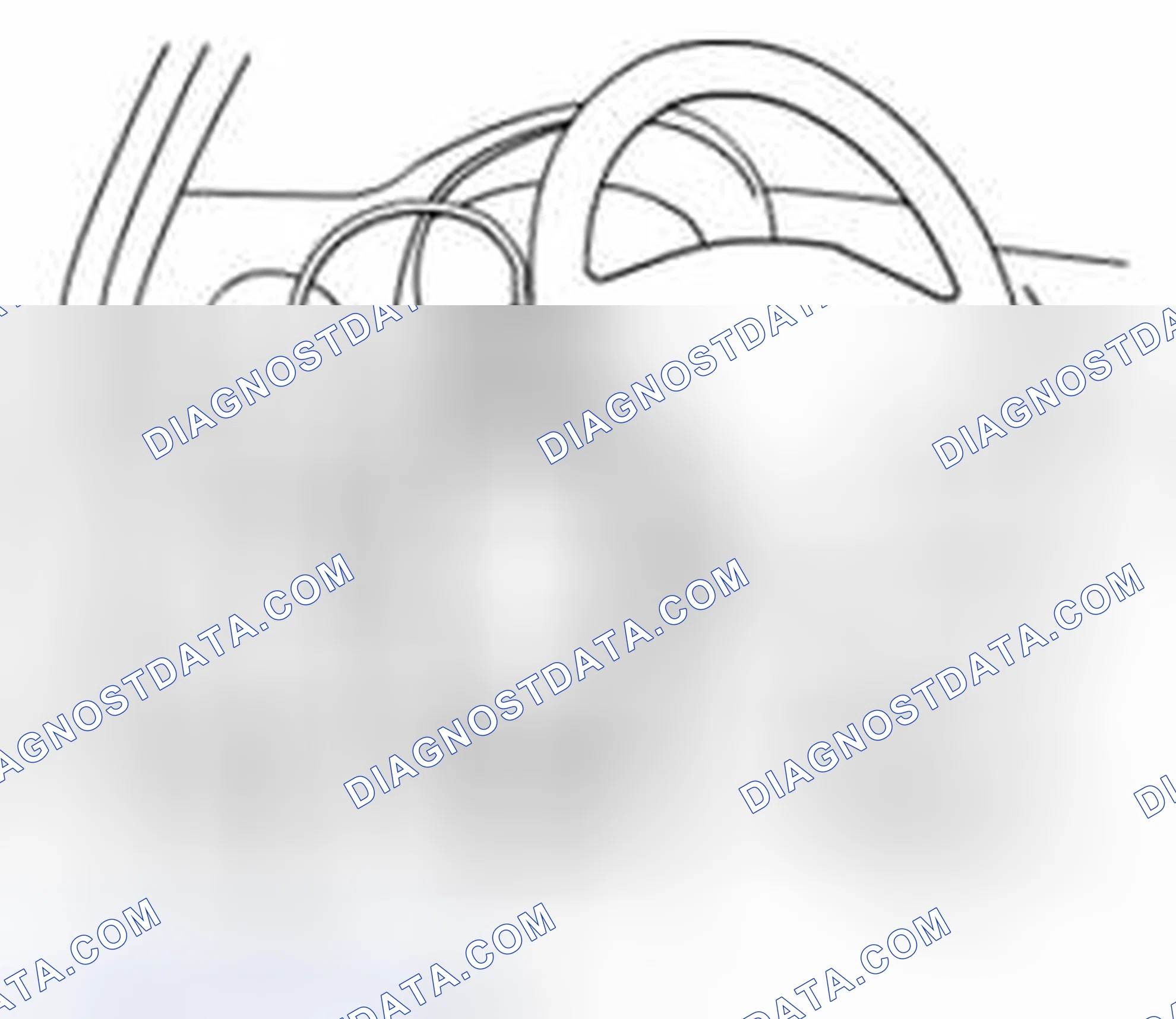 Scheme 8: Using SUZUKI Scan Tool
