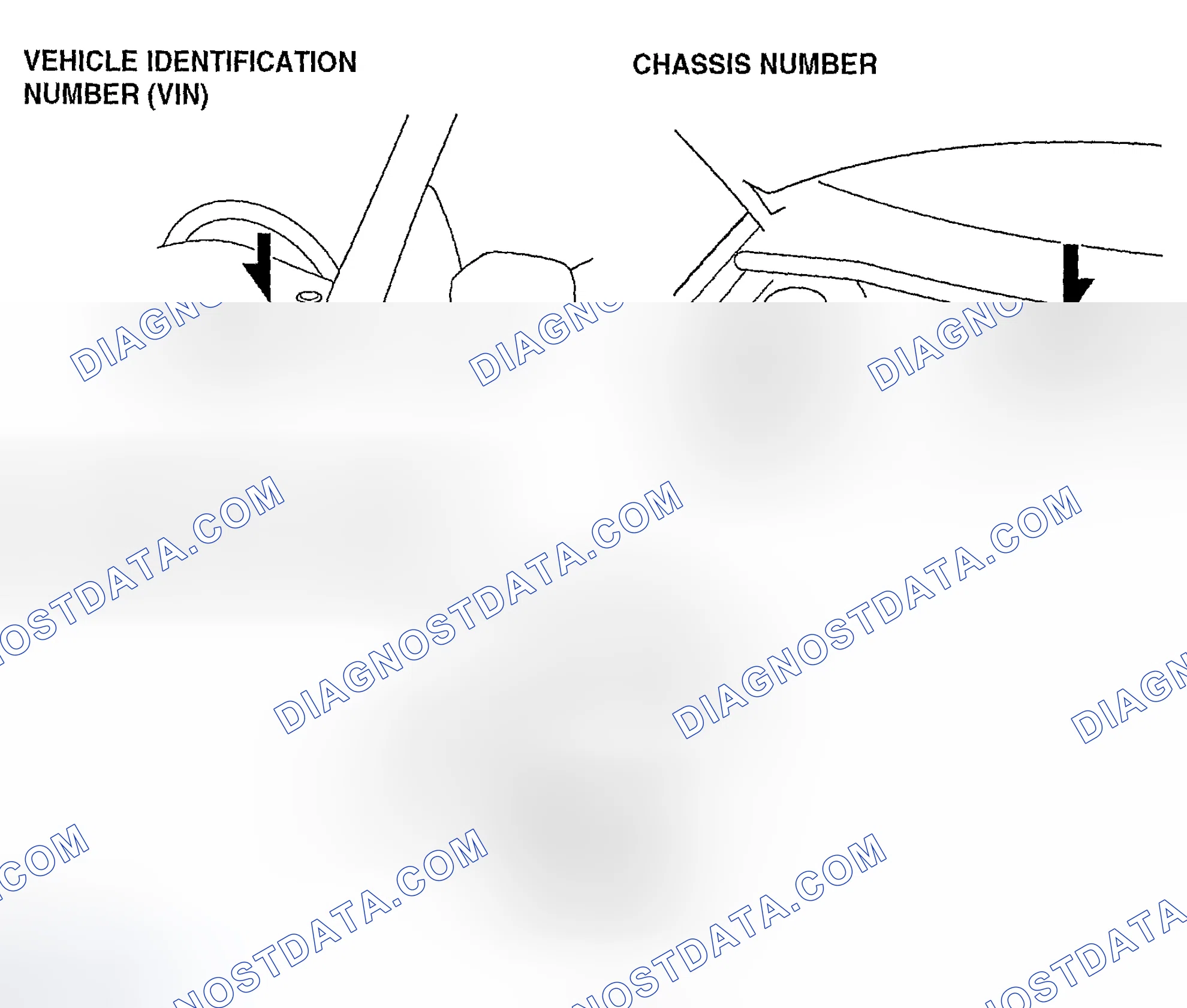 Scheme 54: VEHICLE IDENTIFICATION NUMBER (VIN), CHASSIS NUMBER, ENGINE IDENTIFICATION NUMBER