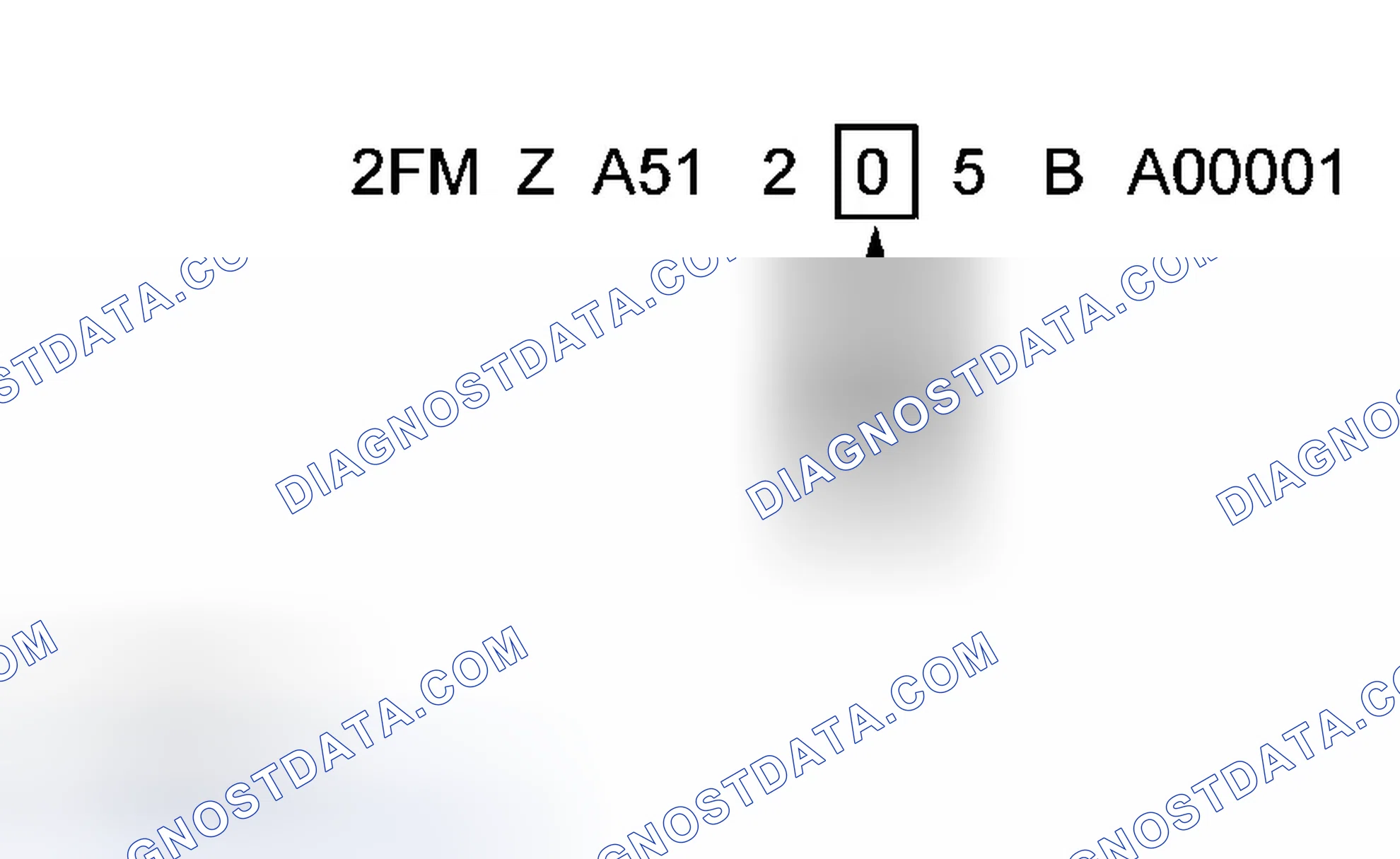 Scheme 7: Check Digit