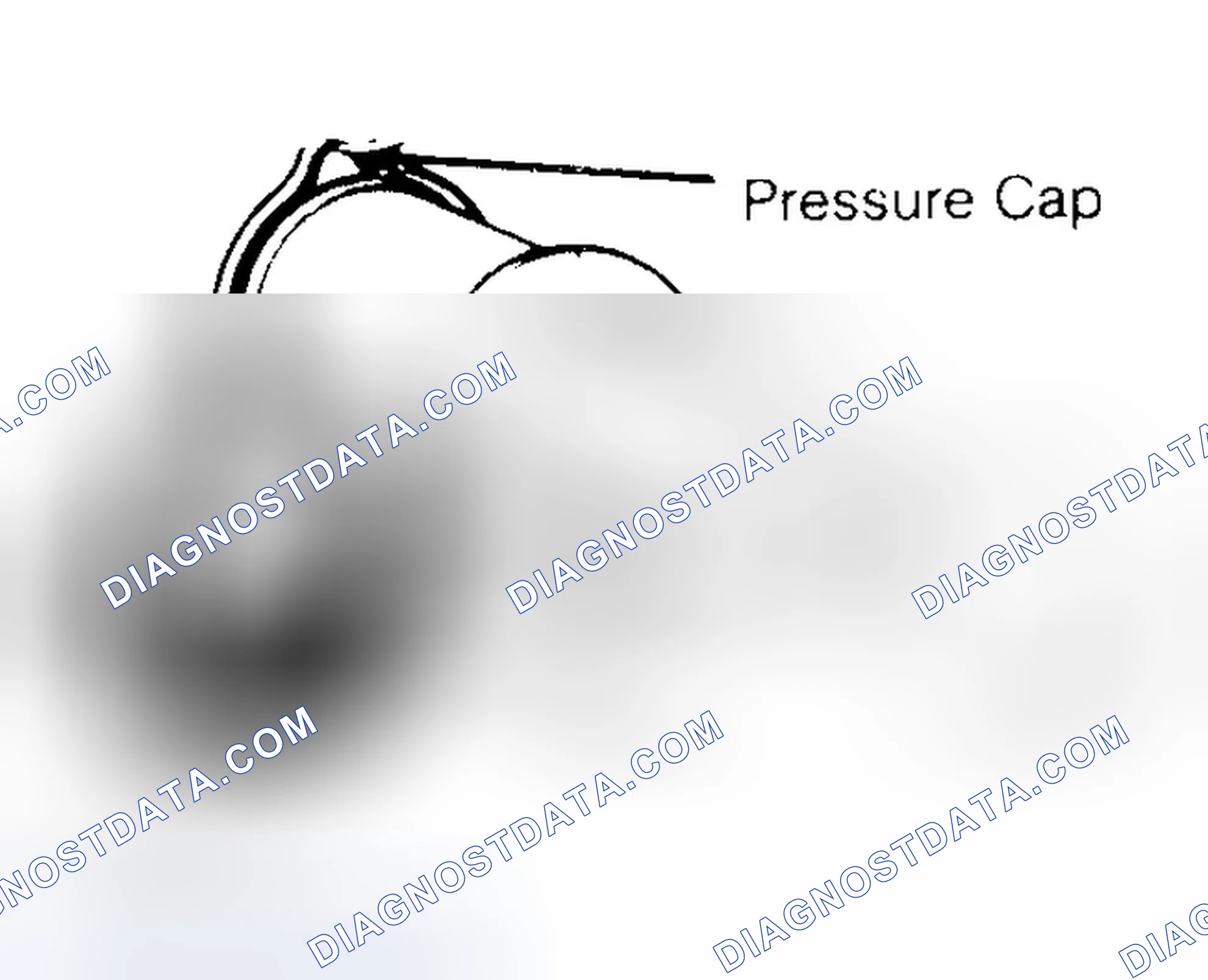 Scheme 2: Pressure Testing Radiator Cap