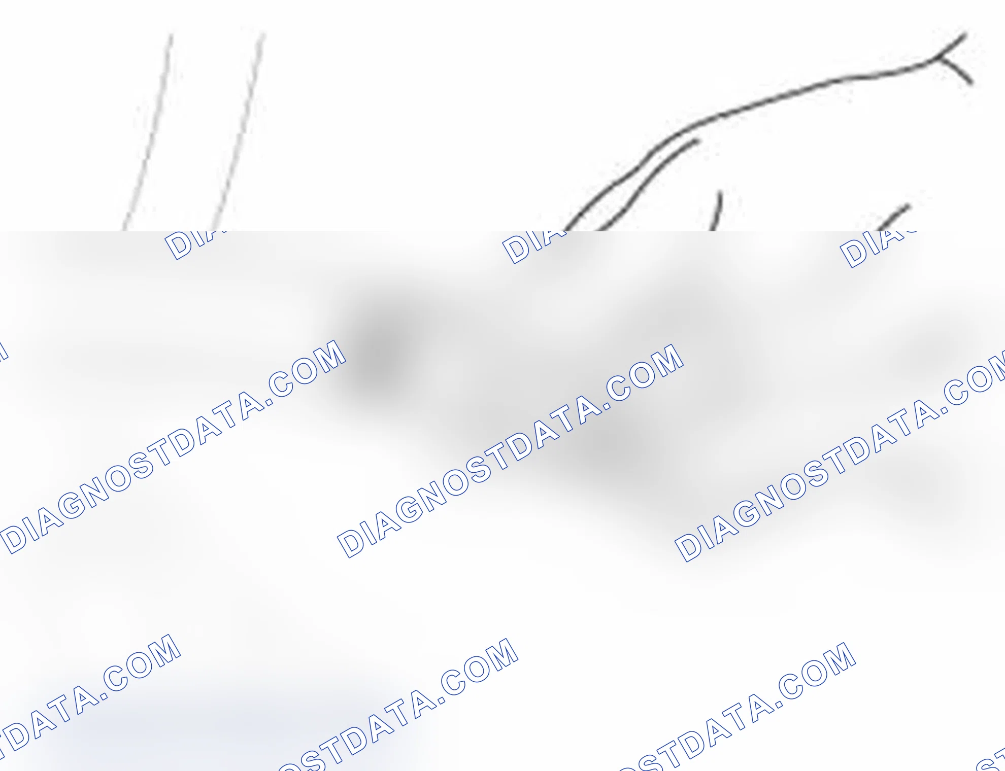 Scheme 9: Inspection