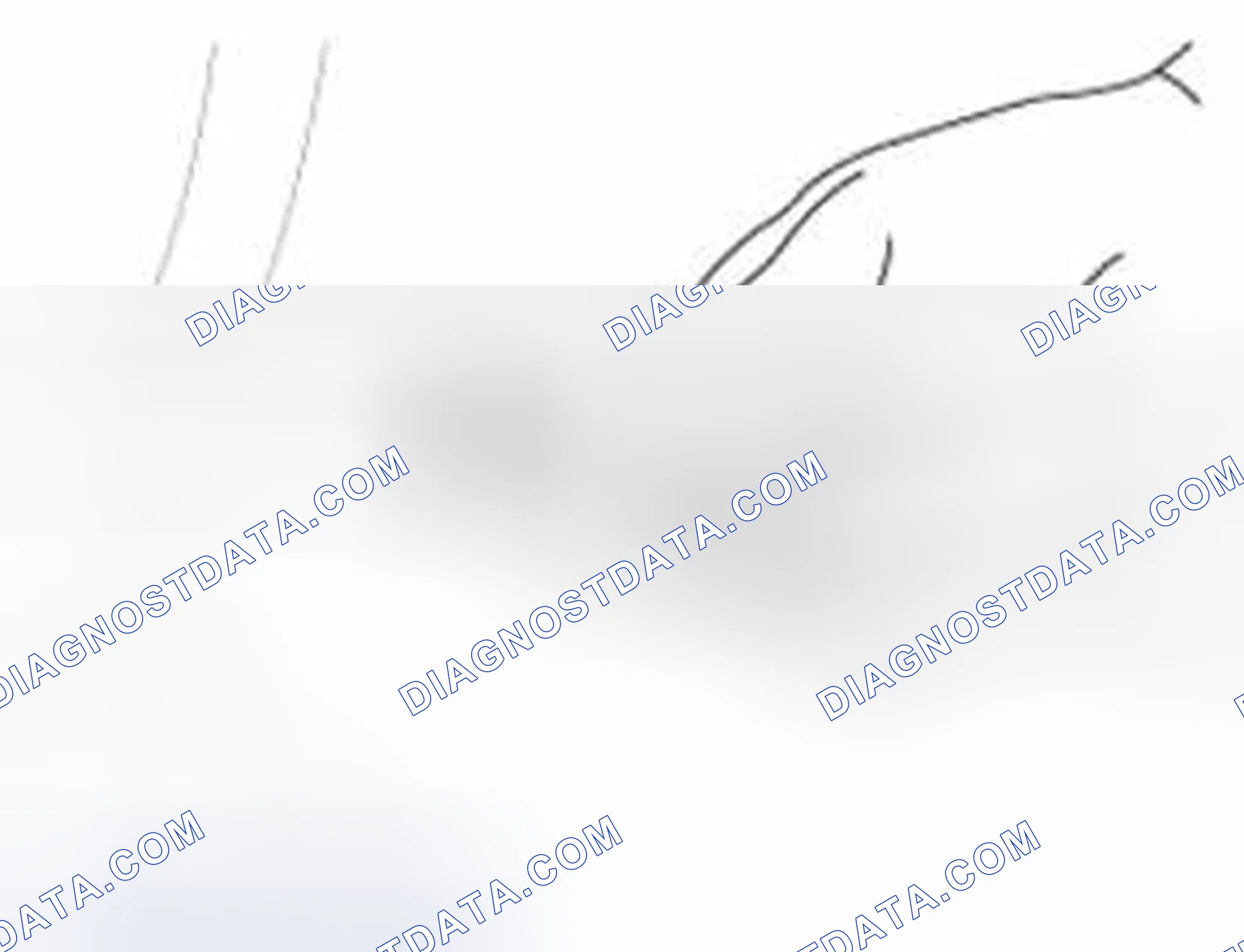 Scheme 5: Inspection