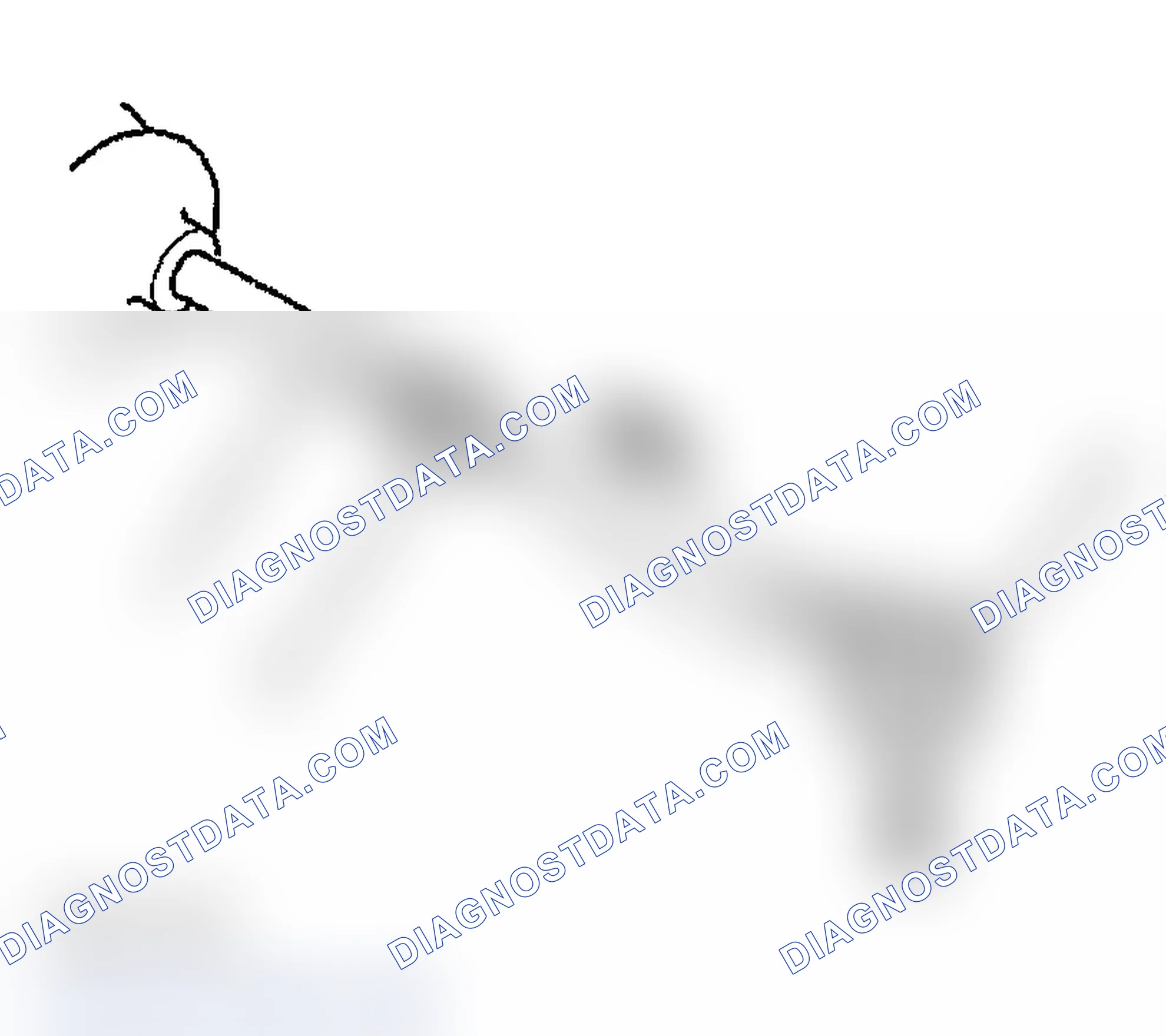 Scheme 81: Installation Procedure