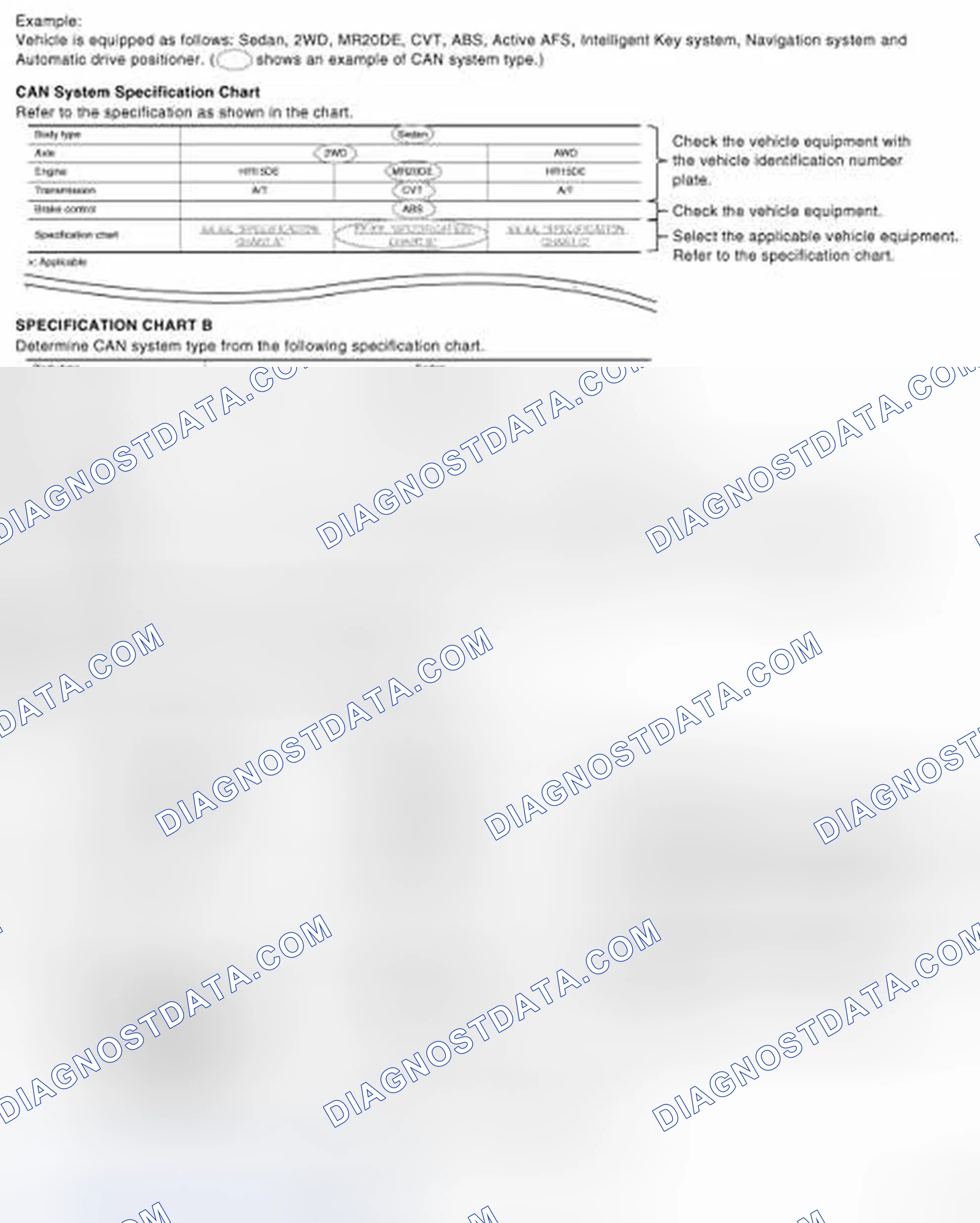 Scheme 2: CAN System Type Specification Chart (Style B)