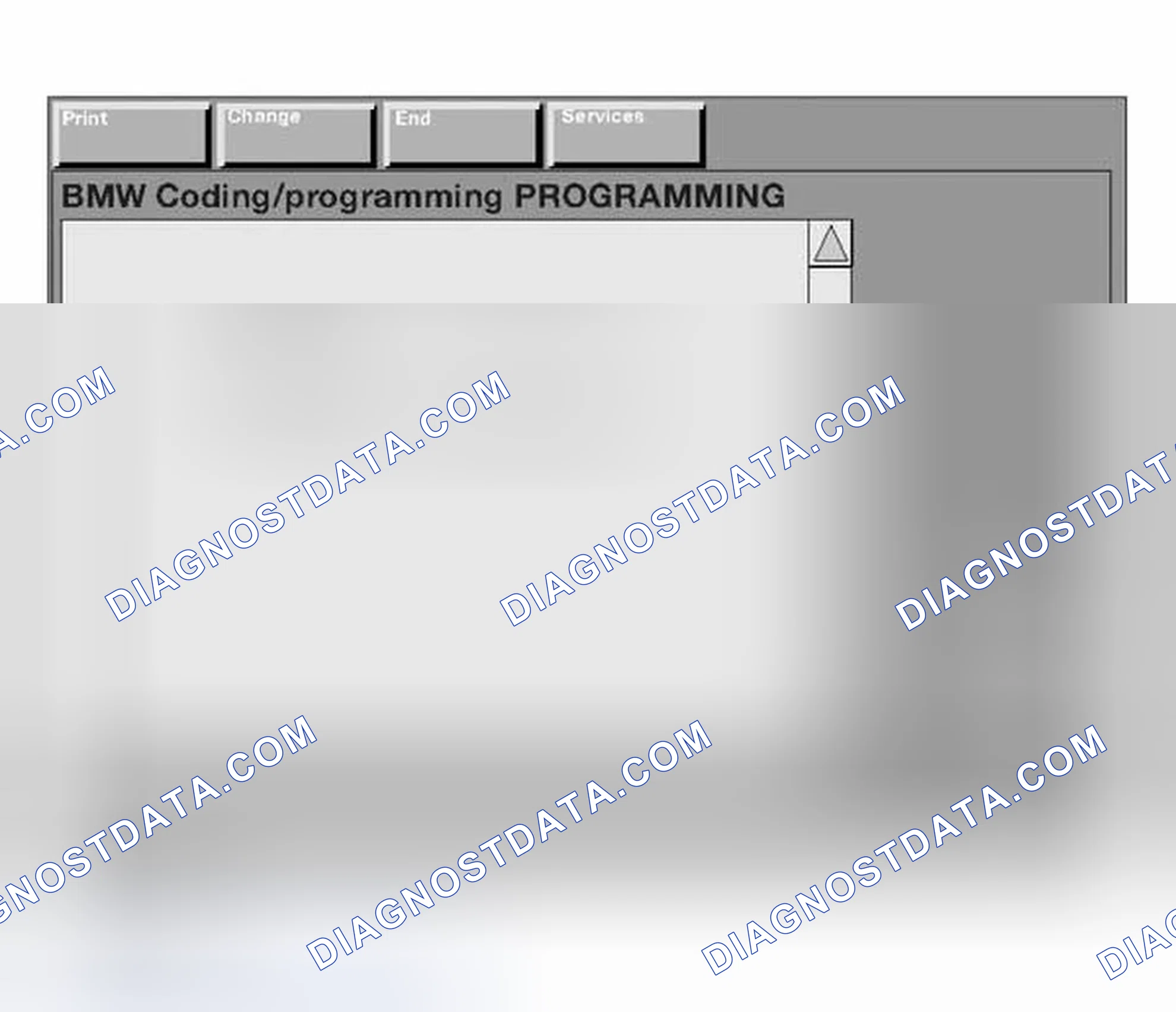 Scheme 237