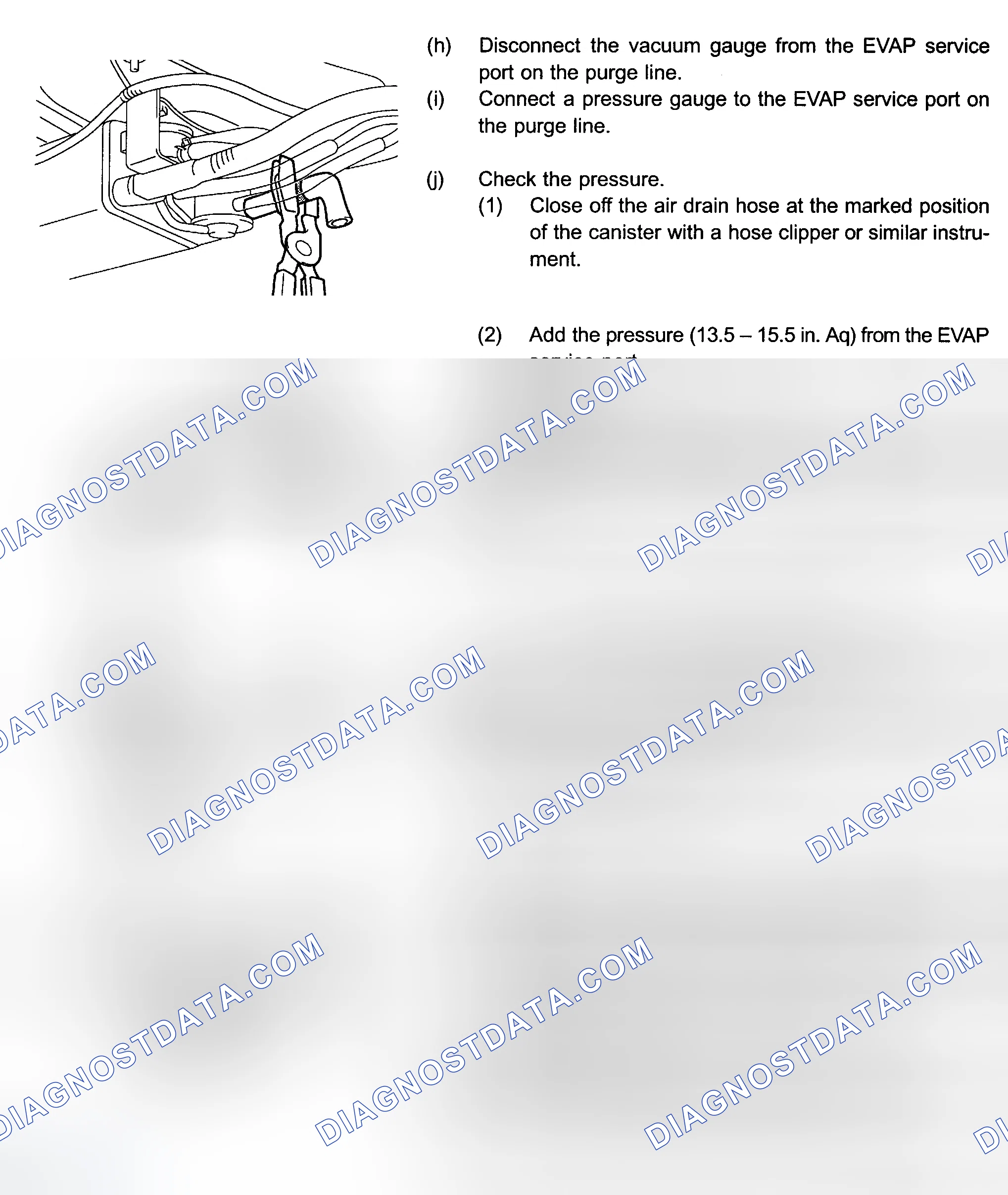 Scheme 225
