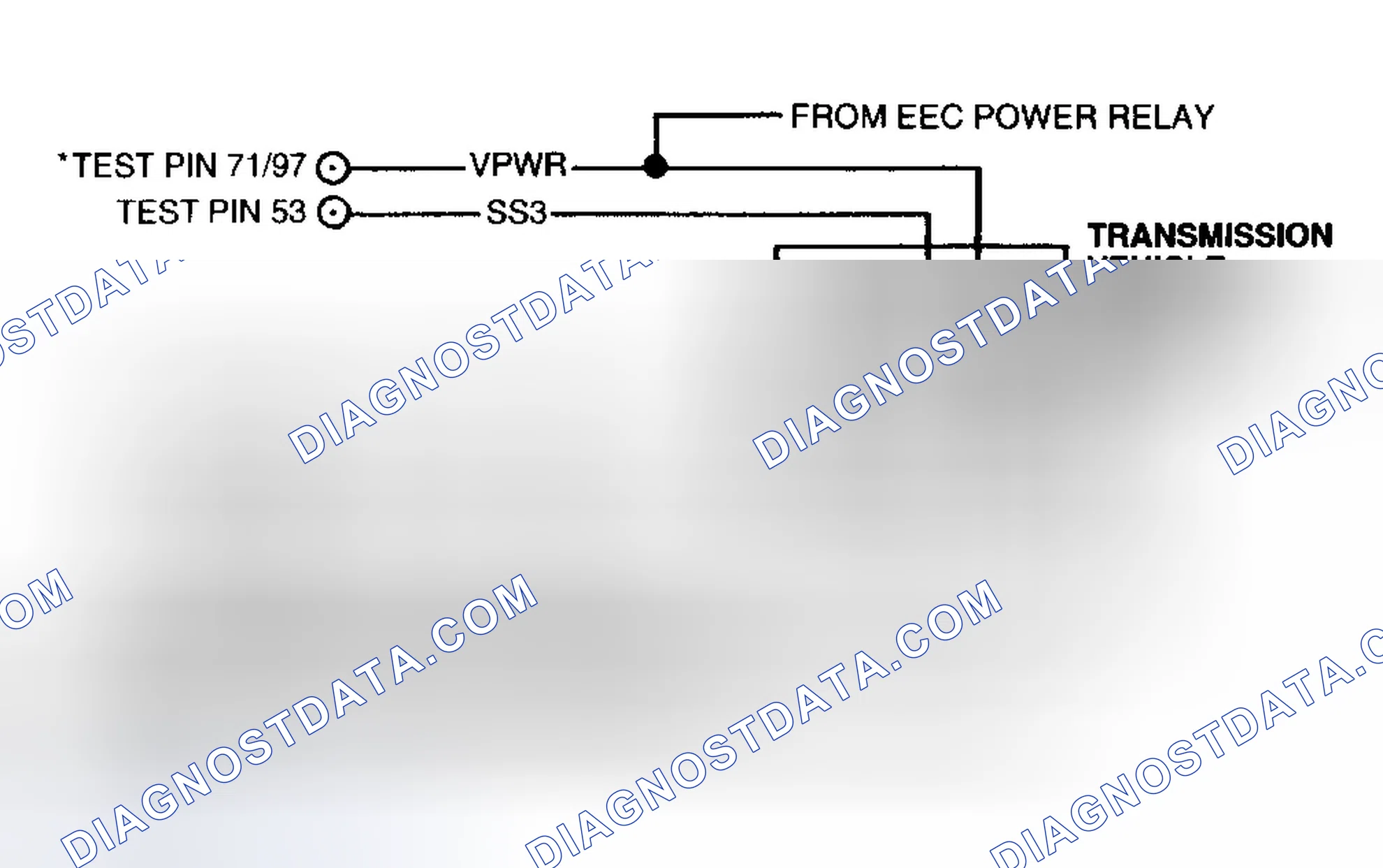 Scheme 504: Transmission Circuit & Connector Terminals (4R44E & 4R55E)